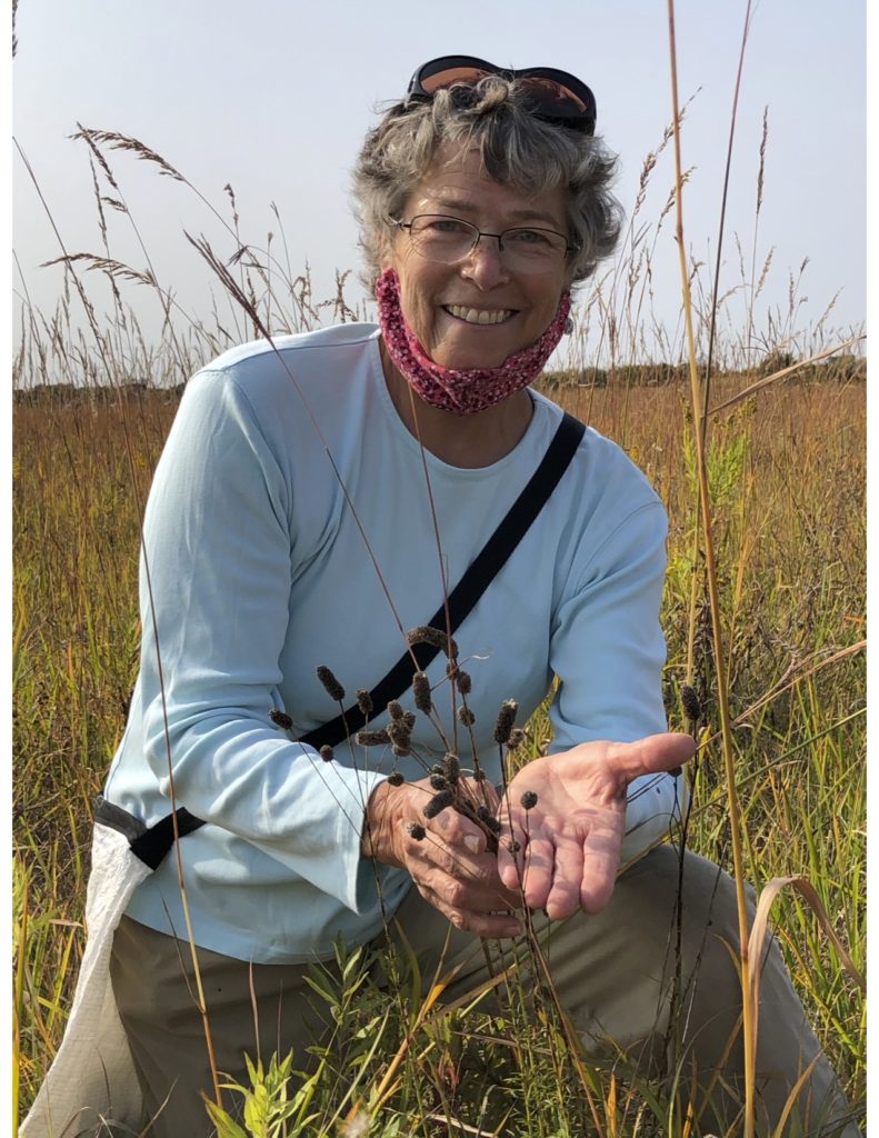A smiling woman wearing glasses and a light blue shirt kneels in the grass and gestures towards prairie plants. 