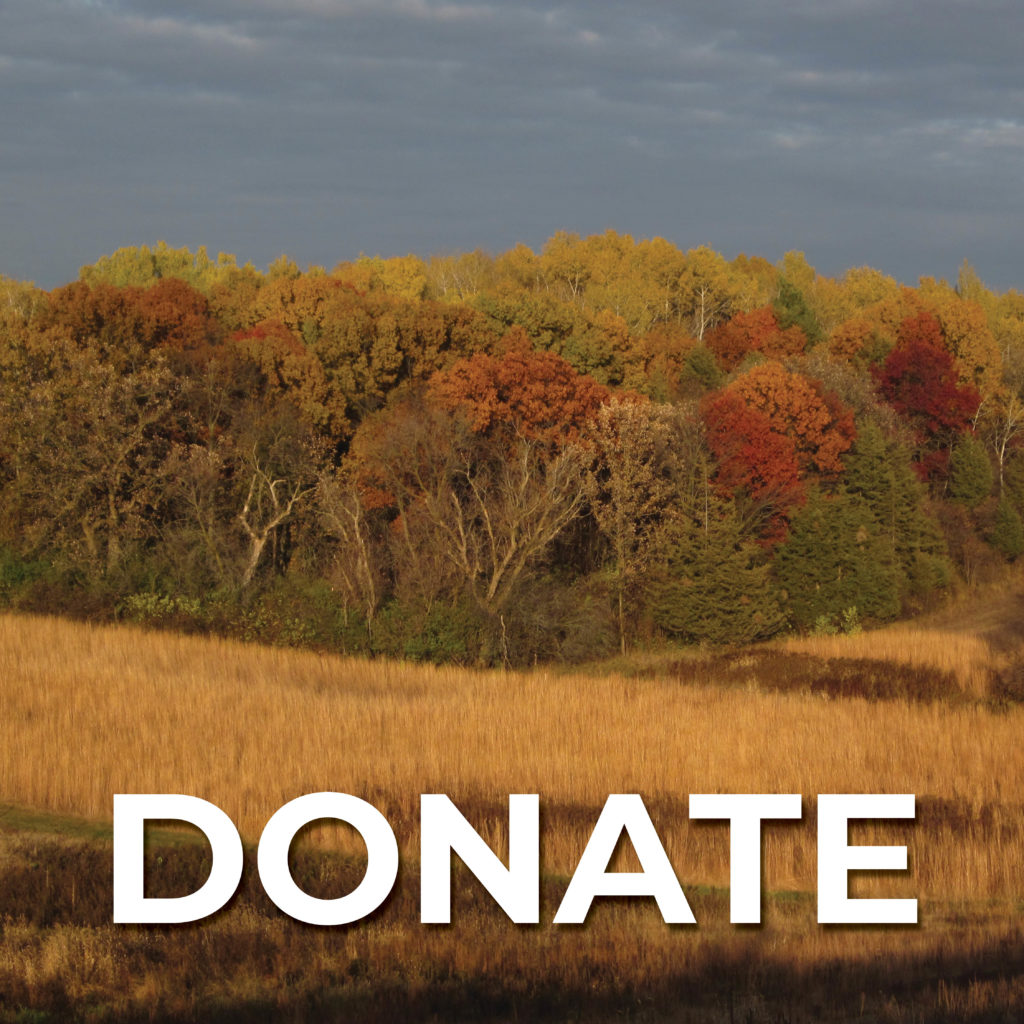 Autumn trees; "Donate" text
