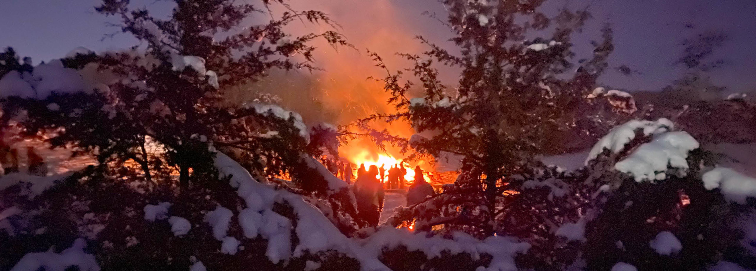 Bonfire seen through snow covered trees